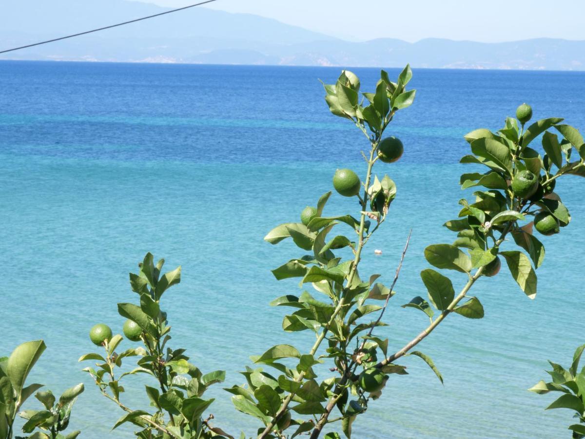 Villa Giotis Skala Sotiros Buitenkant foto